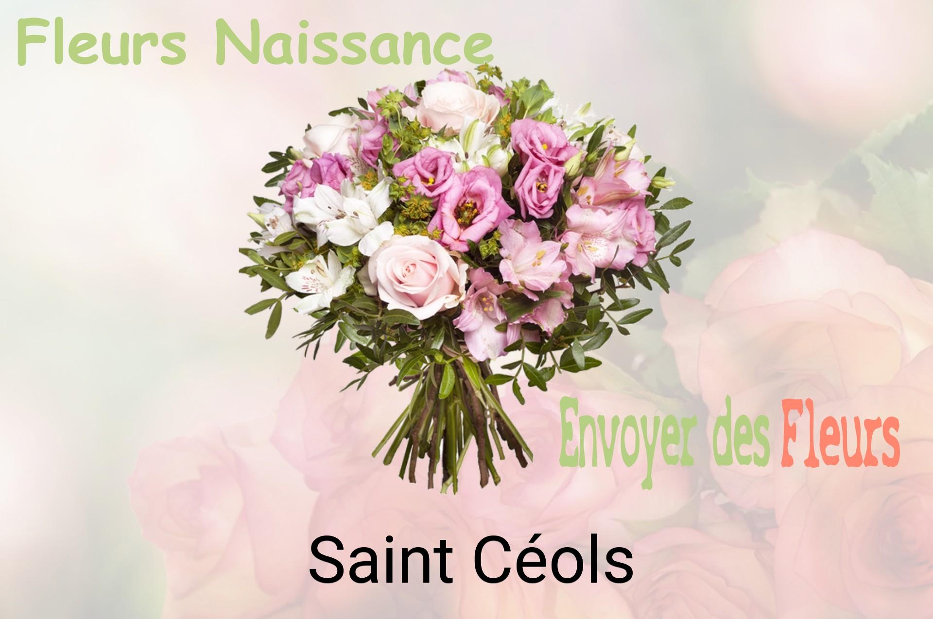 Bouquet de fleurs de naissance livré à Saint-Céols