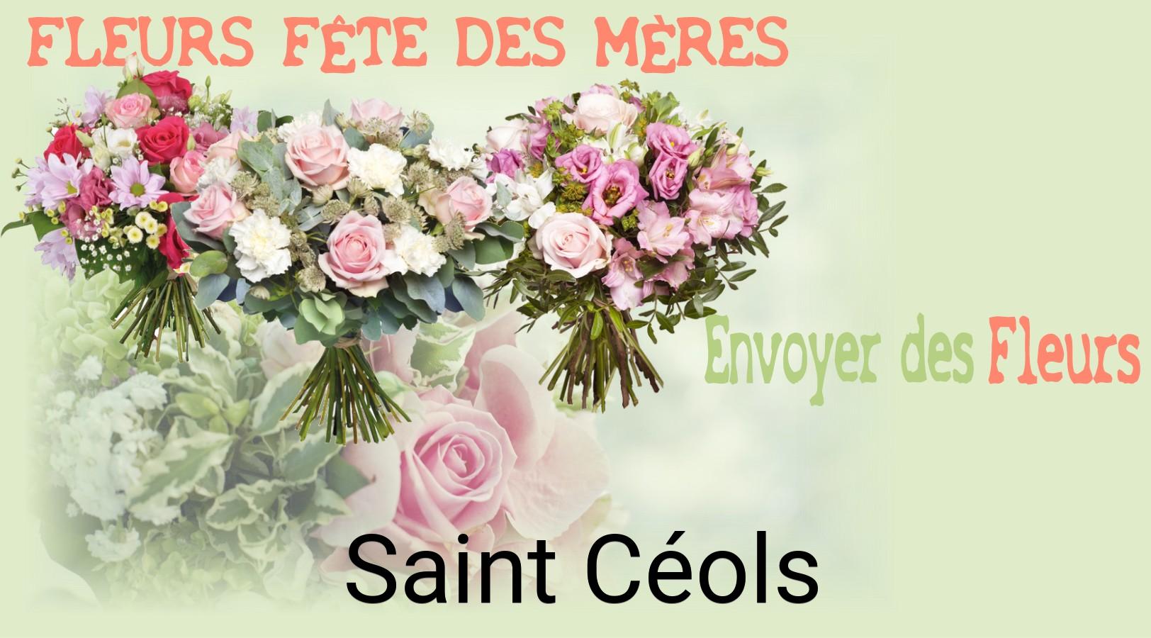 Bouquet de Fête des Mères livré à Saint-Céols